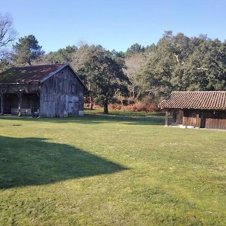 Апартаменты Le Petit Frouas Sud Вьёй-Сен-Жирон Экстерьер фото